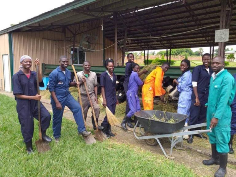 [Employees at Tony Kidega’s dairy farm have been trained on safe AMR practices. Photo credit: Tony Kidega.]
