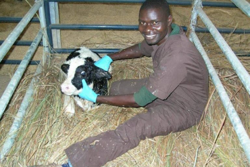 [Der ugandische Milchbauer Tonny Kidega ist sehr daran interessiert, die Antibiotikaresistenz (AMR) in seinem Land zu verhindern. Bildnachweis: Tony Kidega.]