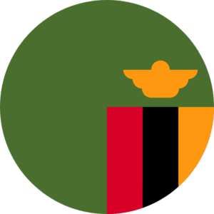 flags-zambia alt