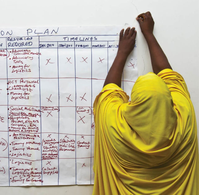 Planning the Work and Working the Plan - Management Sciences for Health