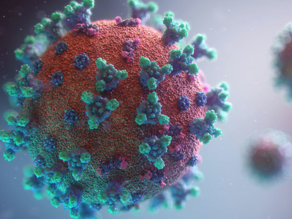New visualisation of the Covid-19 virus.