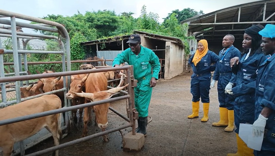 Nigerian veterinary paraprofessionals on an animal health training course_good livestock management practices can help reduce antibiotic use and drug resistance_Photo credit_FAO