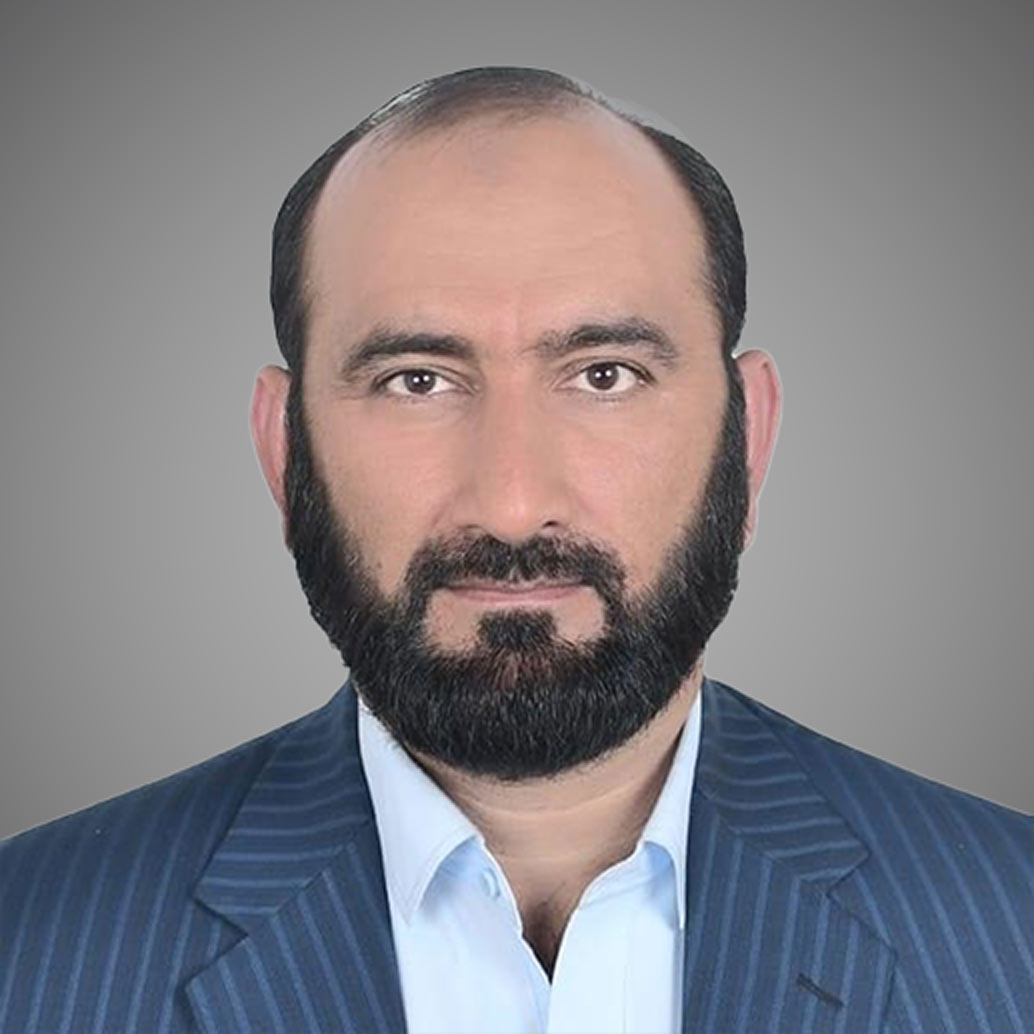 Mohammad Homayoun Ludin