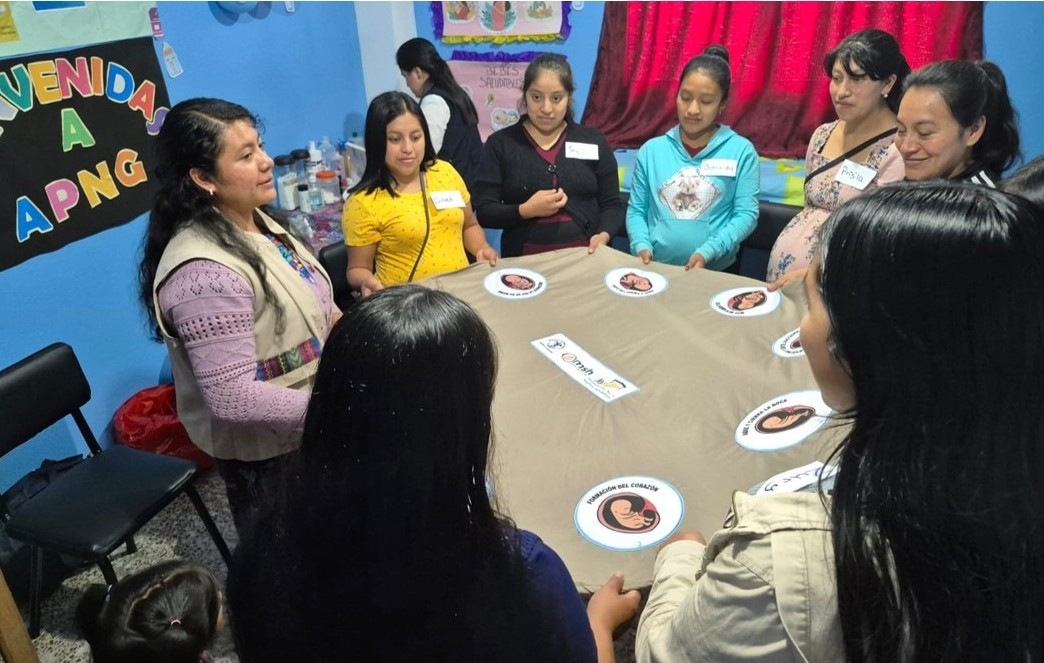 Improving Health Outcomes for Indigenous Mothers and Children in Guatemala