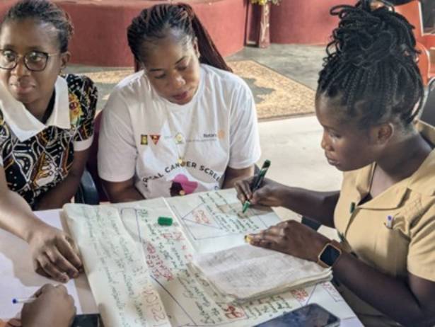 Healthcare professionals participate in a training session