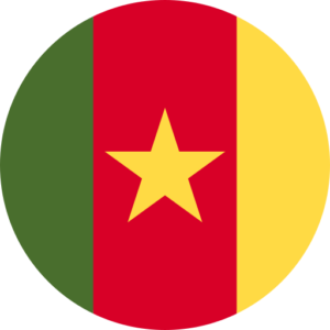 Cameroon Flag