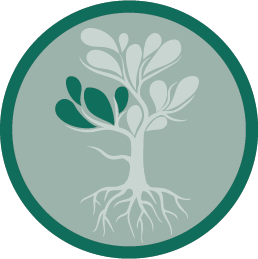 strategy-icon-focus