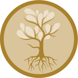 strategy-icon-localize