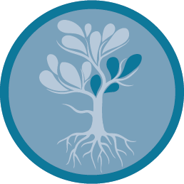 strategy-icon-mobilize